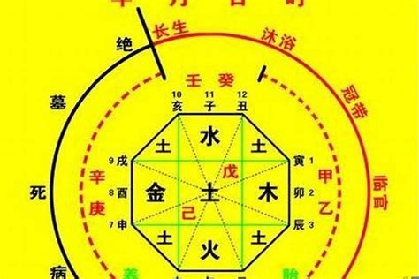 五行喜用神|八字喜用神查詢